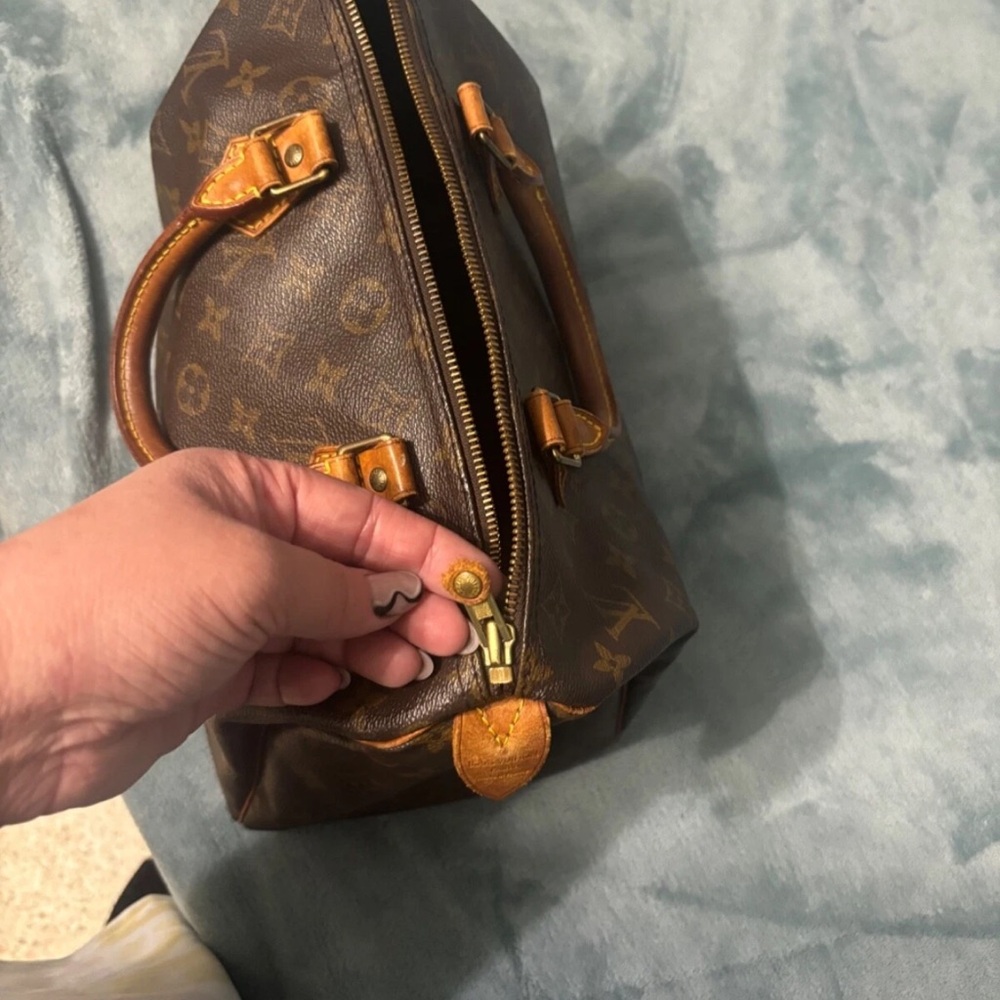 Louis Vuitton Brown and Tan Bag